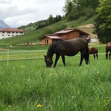 Agriturismo Maso Pertener -Adults Friendly- Комано-Терме Екстер'єр фото