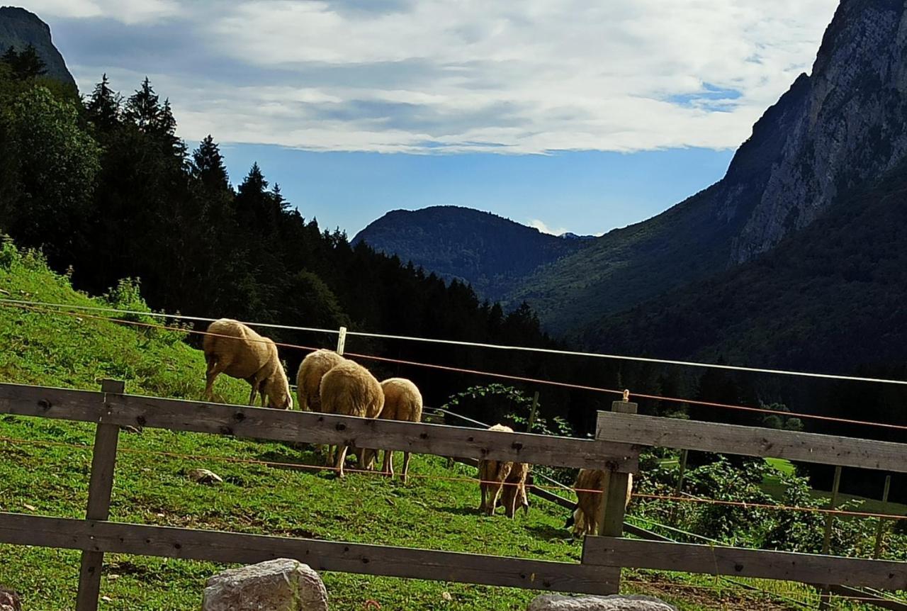 Agriturismo Maso Pertener -Adults Friendly- Комано-Терме Екстер'єр фото